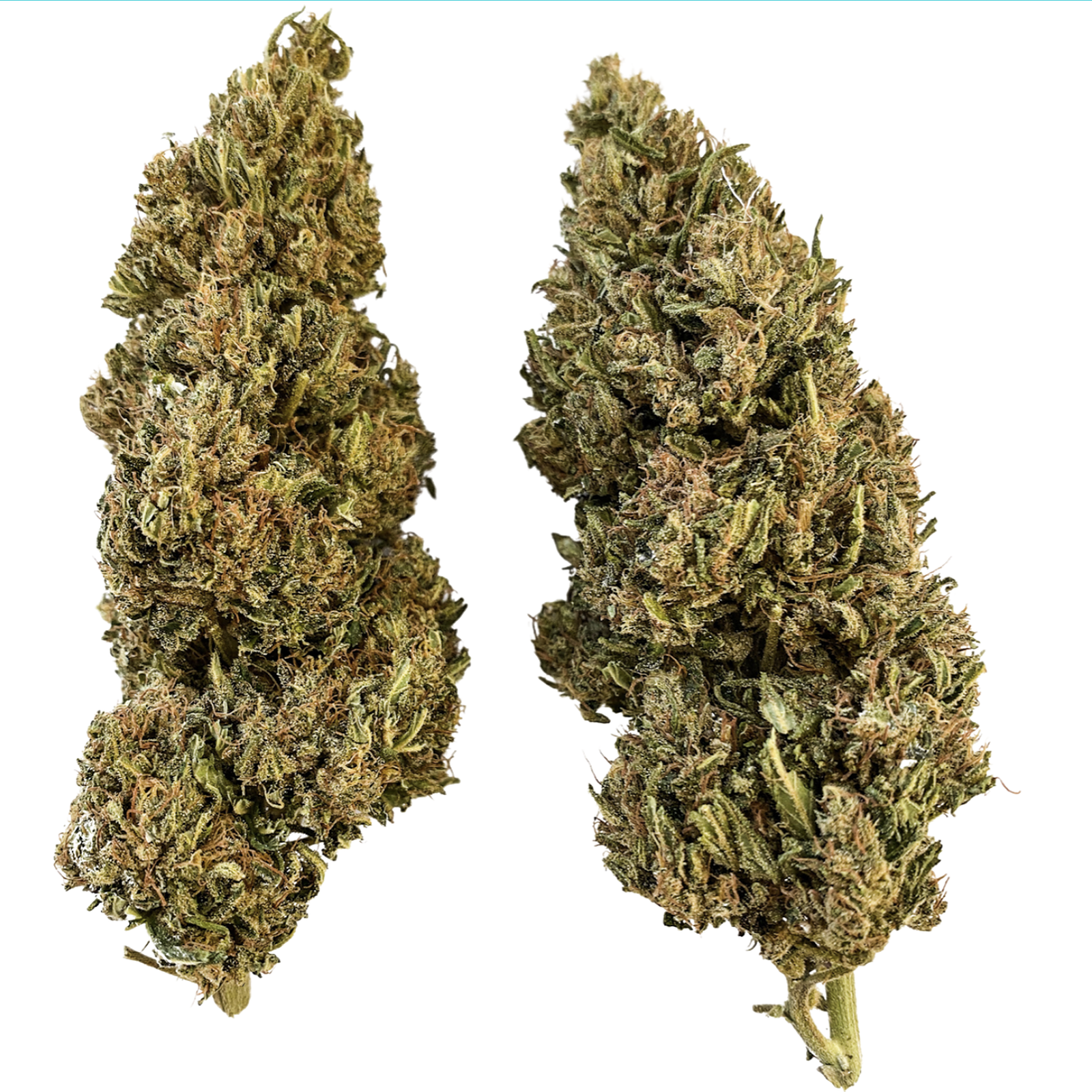Sour Space Candy - Organic Hemp CBD Flower